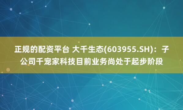 正规的配资平台 大千生态(603955.SH)：子公司千宠家科技目前业务尚处于起步阶段