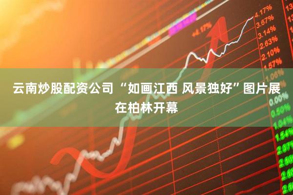 云南炒股配资公司 “如画江西 风景独好”图片展在柏林开幕
